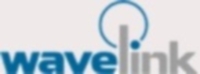 logo Wavelink